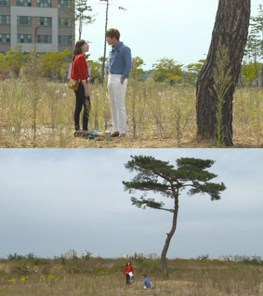 소나무주 이미지