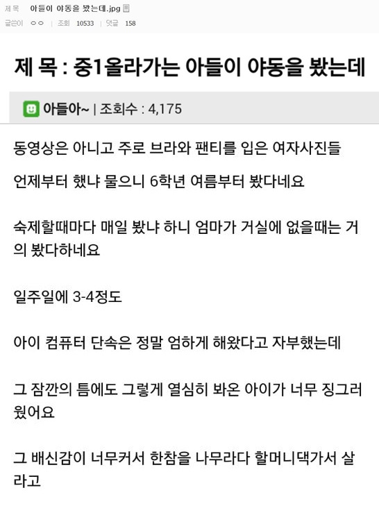 온라인 커뮤니티 캡처