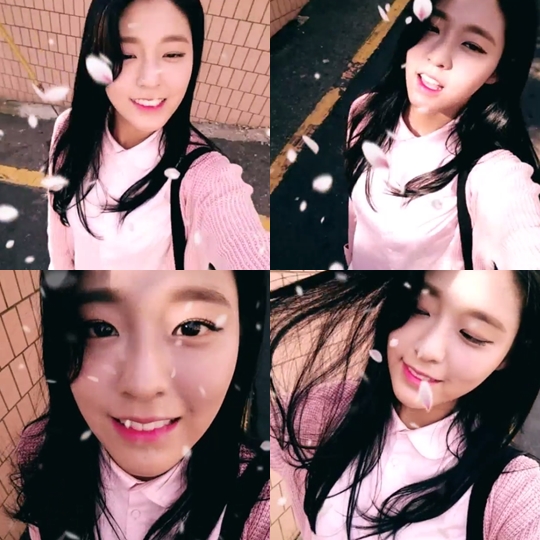 더미모 이미지
