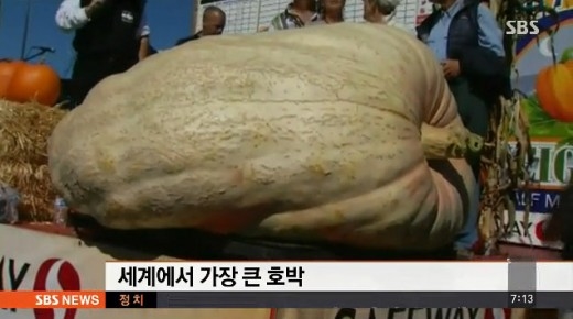 호박 이미지