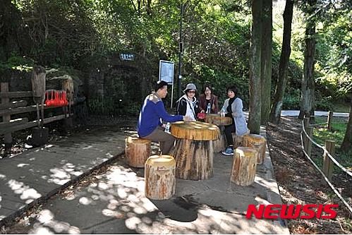 고사목 이미지