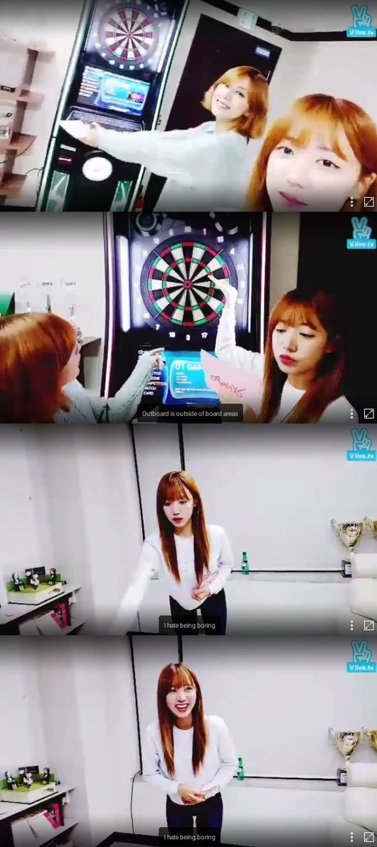 에이다트 이미지