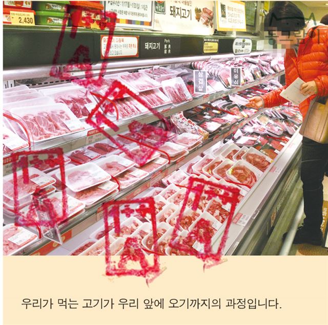 돼지이야기 이미지