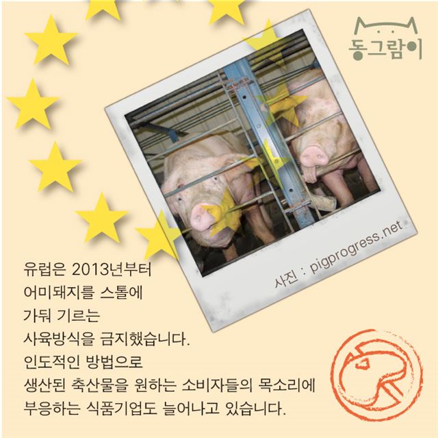 돼지이야기 이미지