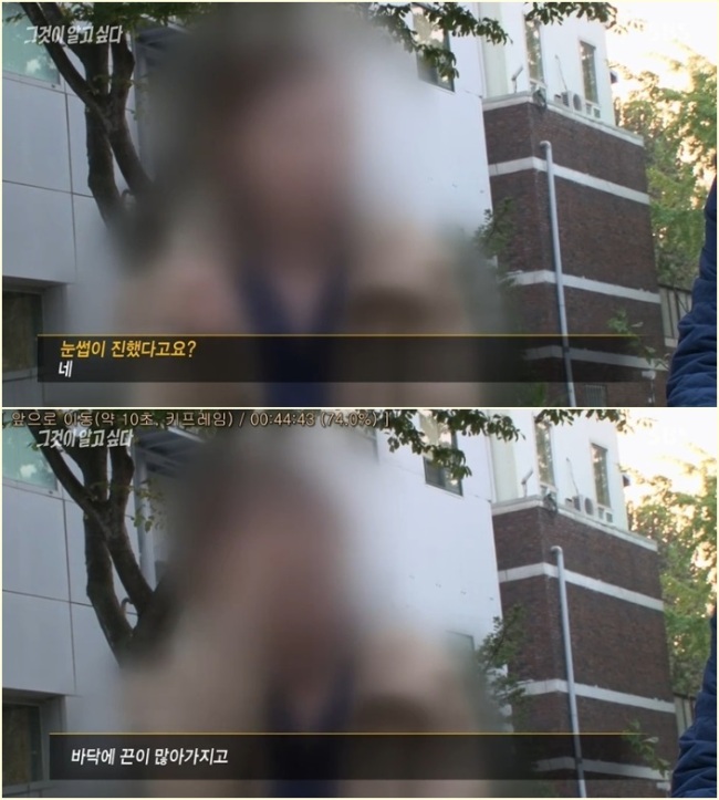 토끼눈썹 이미지