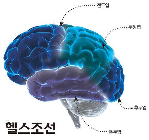 (주)헬스조선 이미지