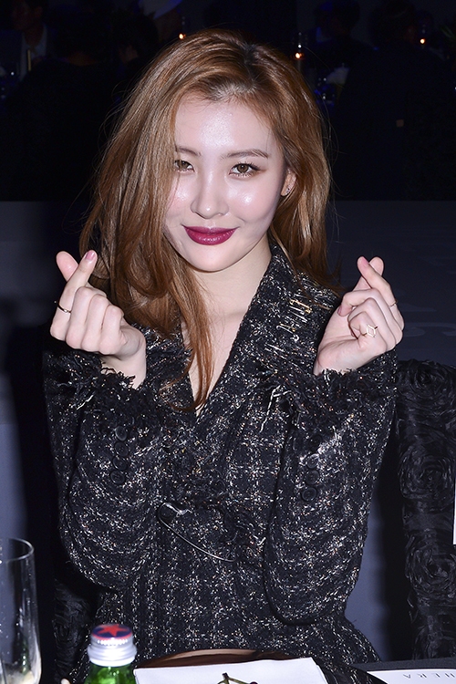 선미디자인 이미지