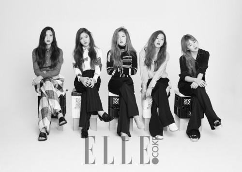 위엘르헤어 이미지