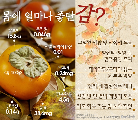 탁식 이미지