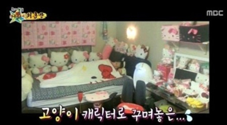 분홍고양이 이미지