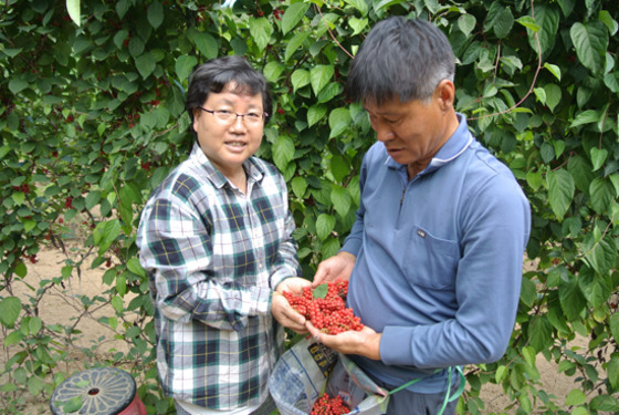 곰밭길농원 이미지
