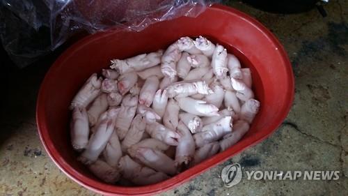 부부족발 이미지