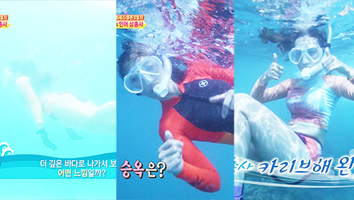 바다사냥 이미지