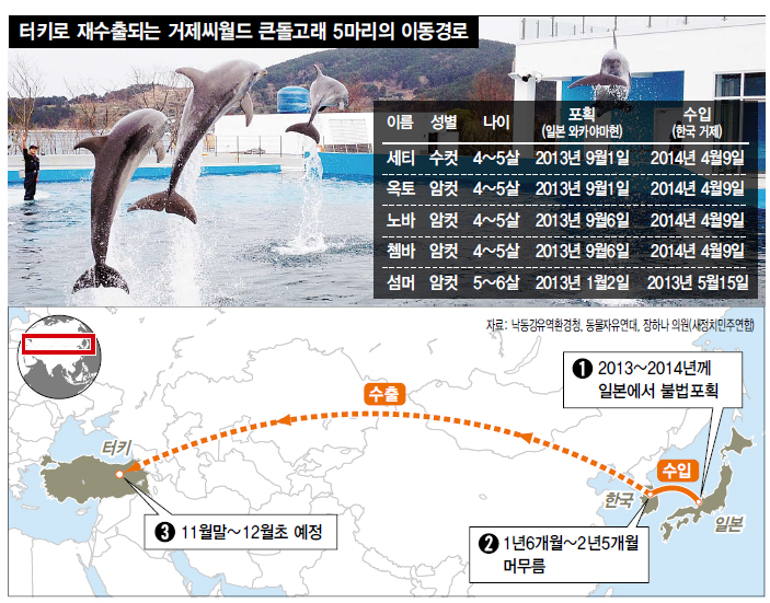 한국세탁 이미지