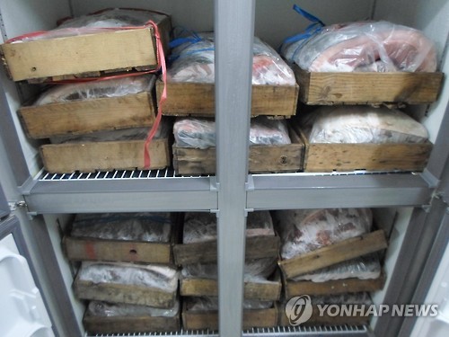 고래집 이미지