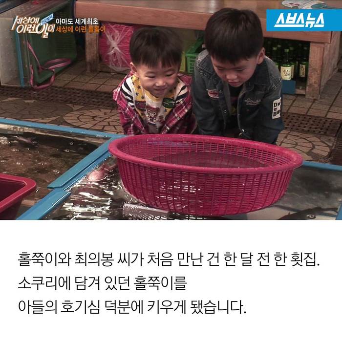 참바다 이미지