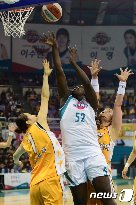 리 이미지