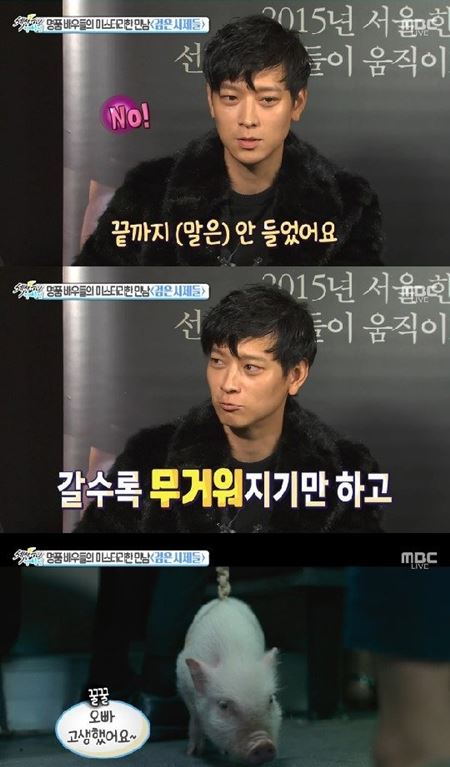 돈돈돼지 이미지