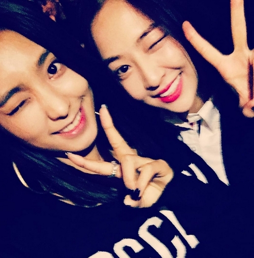 다솜조명 이미지