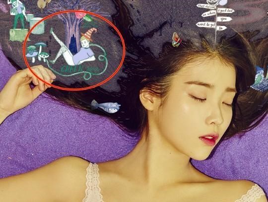 제제 이미지