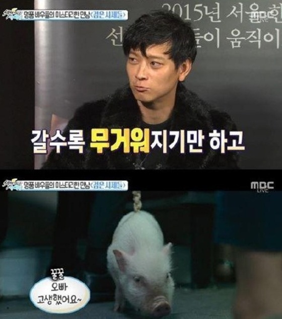 돈돈돼지 이미지