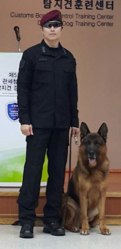 아론 이미지
