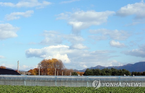 하늘비식품 이미지