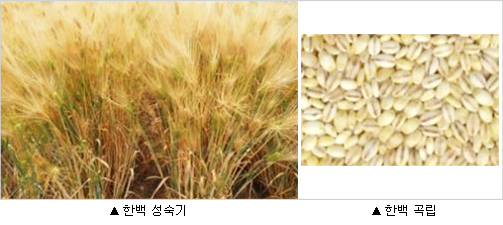한백식품 이미지