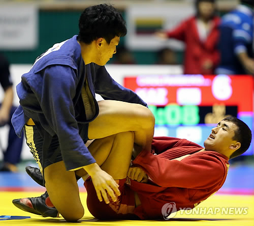 삼보 이미지