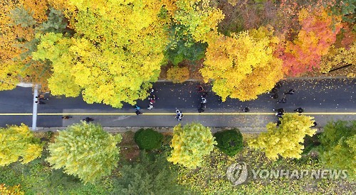 <수능> 수능 마친 가벼운 발걸음 (서울=연합뉴스) 항공촬영팀 = 2016학년도 대학수학능력시험이 열린 12일 서울 강남구 삼성동 경기고등학교에서 시험을 마친 수험생들이 고사장을 나서고 있다 .