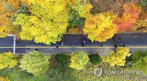 <수능> 수능 마친 가벼운 발걸음     (서울=연합뉴스) 항공촬영팀 = 2016학년도 대학수학능력시험이 열린 12일 서울 강남구 삼성동 경기고등학교에서 시험을 마친 수험생들이 고사장을 나서고 있다 .