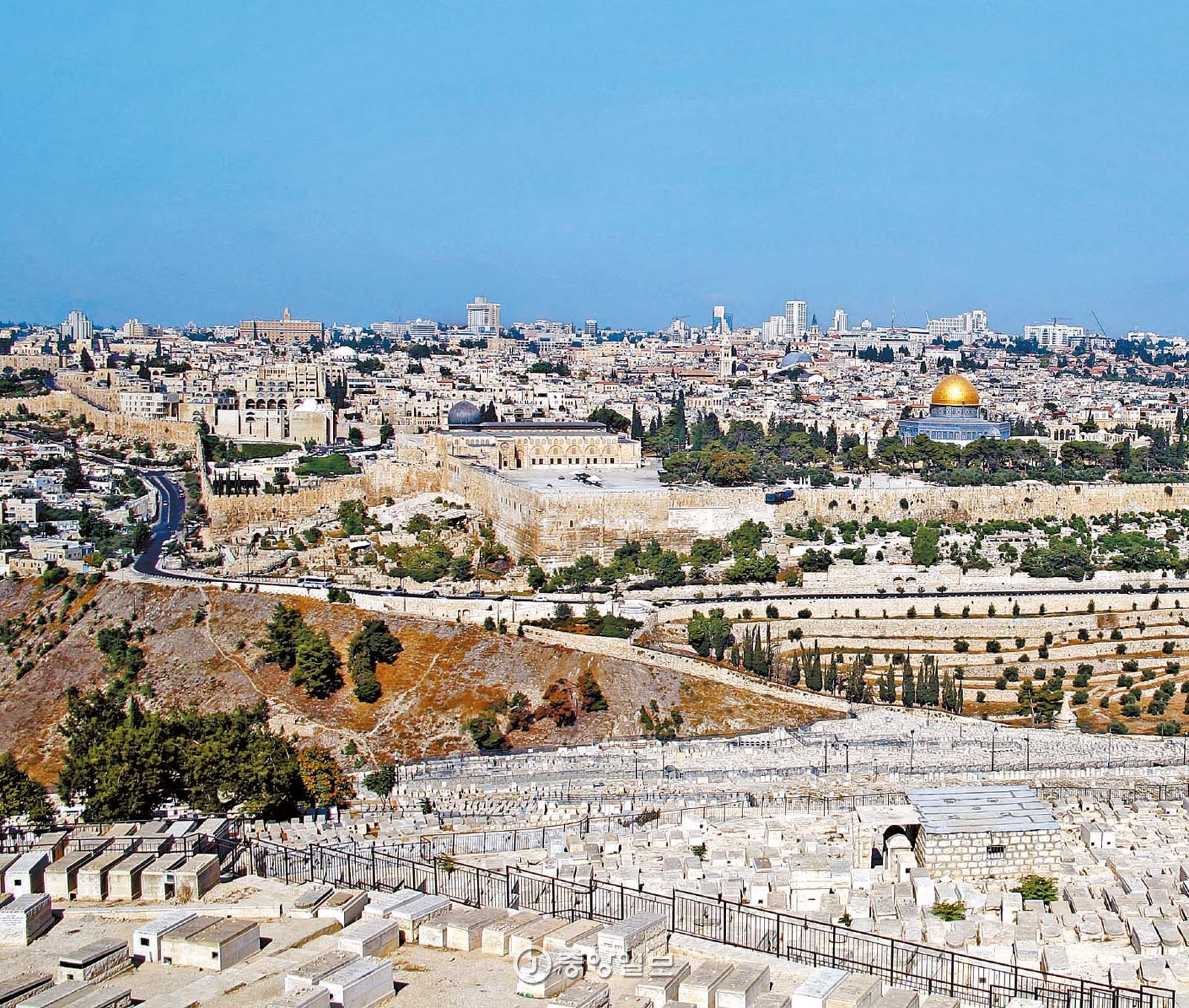 이스라엘 예루살렘은 기독교·유대교·이슬람교의 성지가 한 데 몰려 있는 복잡한 도시다. 올리브산 정상에서 보면 이슬람 사원과 교회, 유대인 공동묘지가 한눈에 들어온다. 황금 지붕 건물이 이슬람교의 성지에 놓인 바위사원(Dome of the Rock)이다.