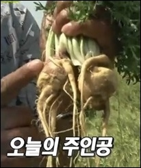 이성푸드 이미지