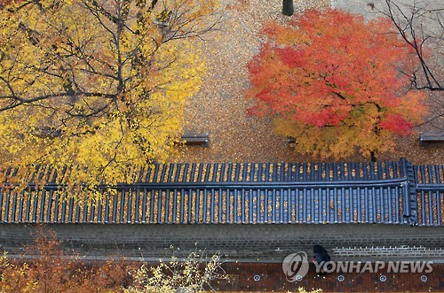 산모사랑아기사랑 이미지