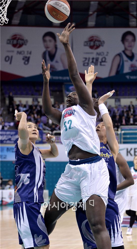 리 이미지