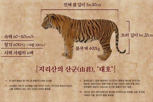 대호 이미지