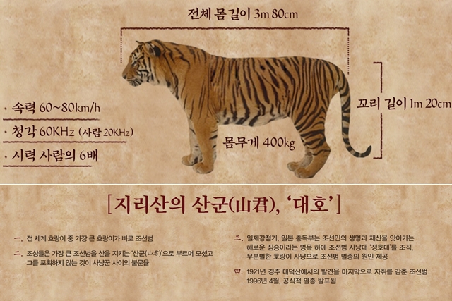 대호 이미지