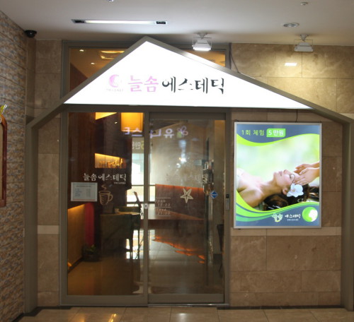 늘솜시스템 이미지