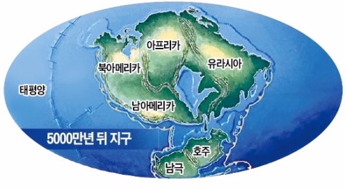 한몸 이미지