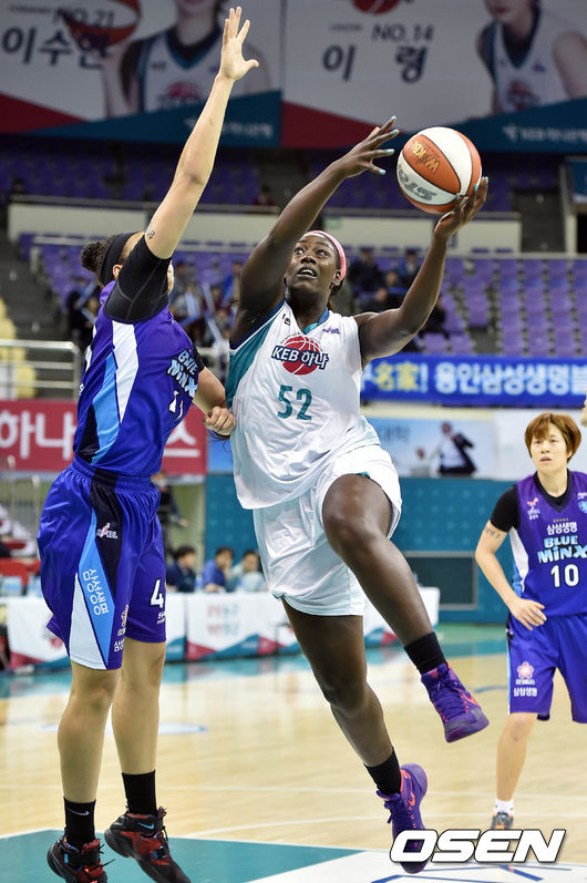 리 이미지