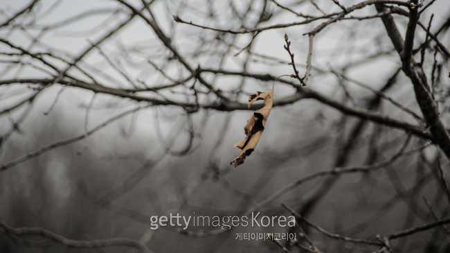 미헤어뱅크 이미지