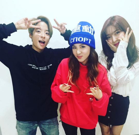 엠버 이미지