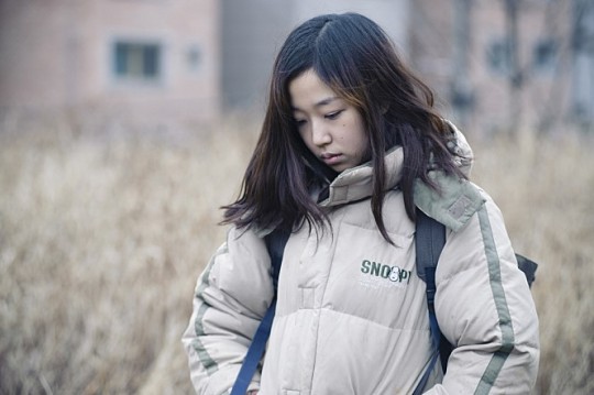 들꽃처럼 이미지