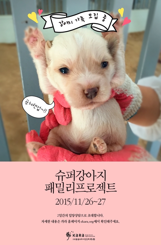 슈퍼 패밀리 이미지
