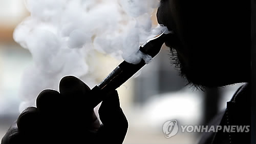 성인전자 이미지