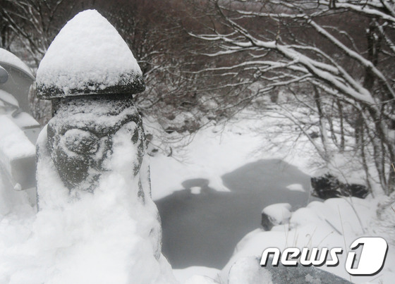 제주 7년 만에 한파주의보..도로·바닷길·하늘길 '꽁꽁' - 뉴스1