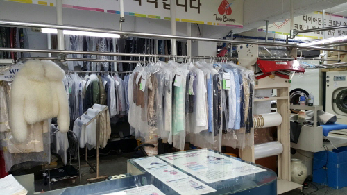 선진크리닝 이미지