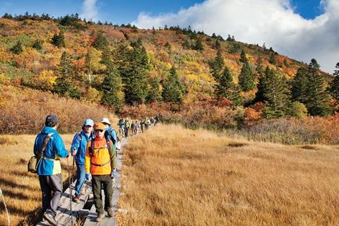 [월간산]목도를 따라 케나시타이습원을 내려서는 단원들.