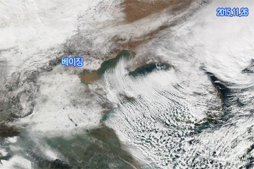 내일 절대 비를 맞으면 안되는 이유.gisa | 인스티즈