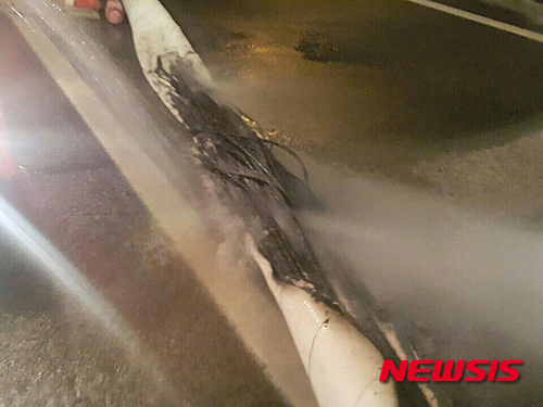 서해목포주유소 이미지